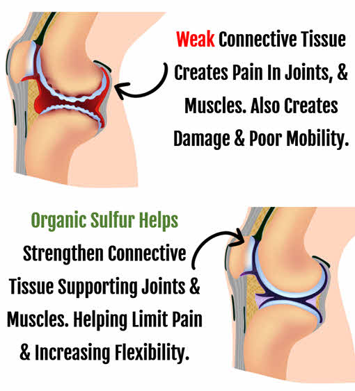 How Organic Sulfur / MSM Helps Joints