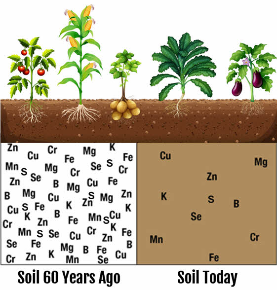 Soil Today Versus In The Past