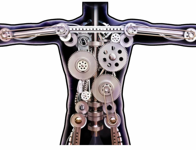 Organic Sulfur Benefits