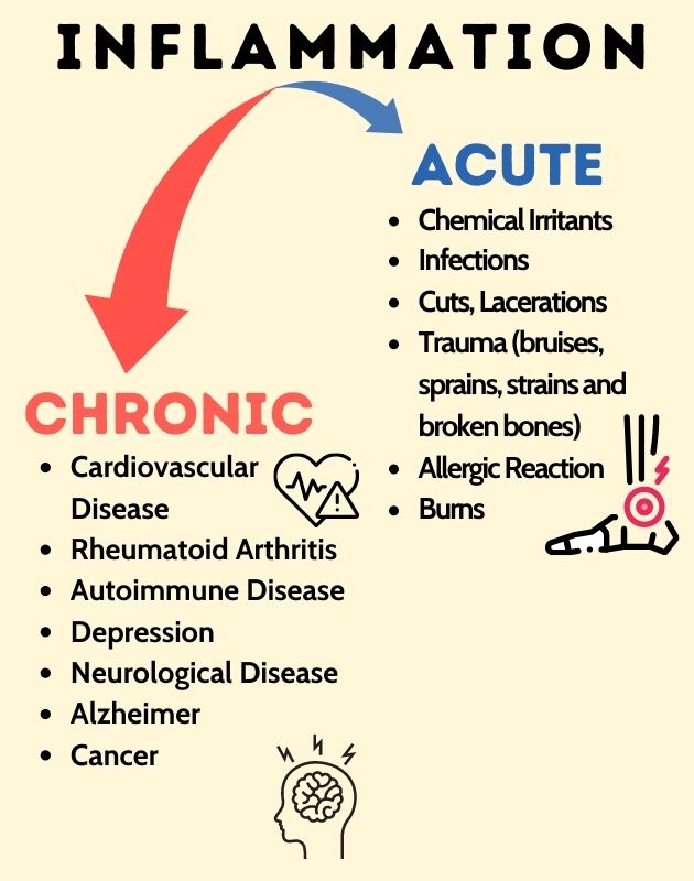 Chronic Inflammation Versus Acute Inflammation