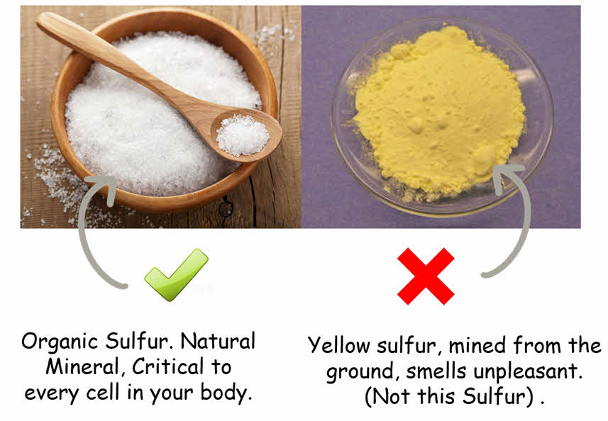 Difference in Sulfur types for dog supplements