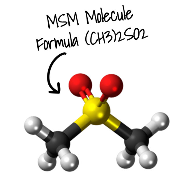 Organic Sulfur / MSM Molecule - (CH3)S2SO2