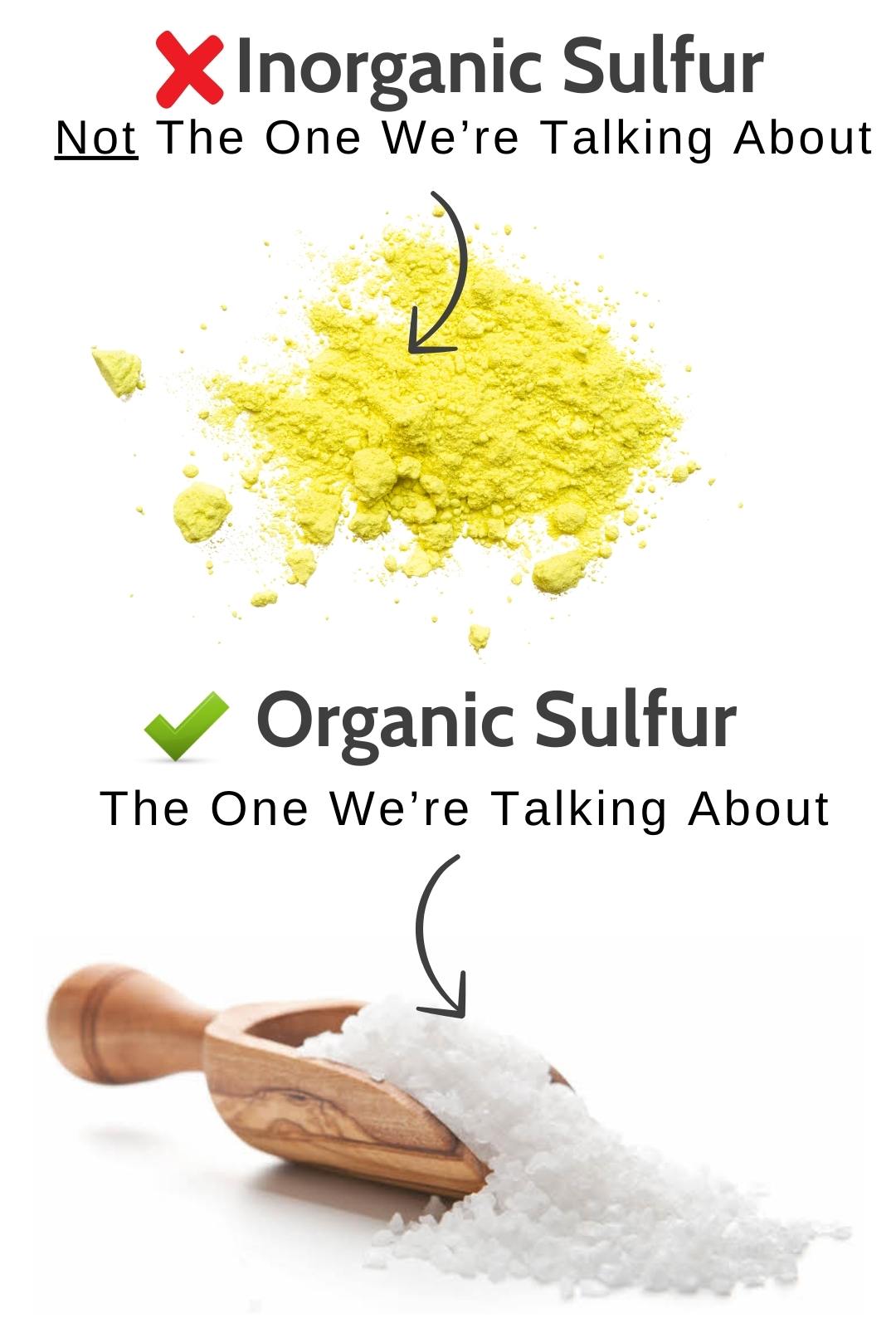 Organic Sulfur vs. Inorganic Sulfur