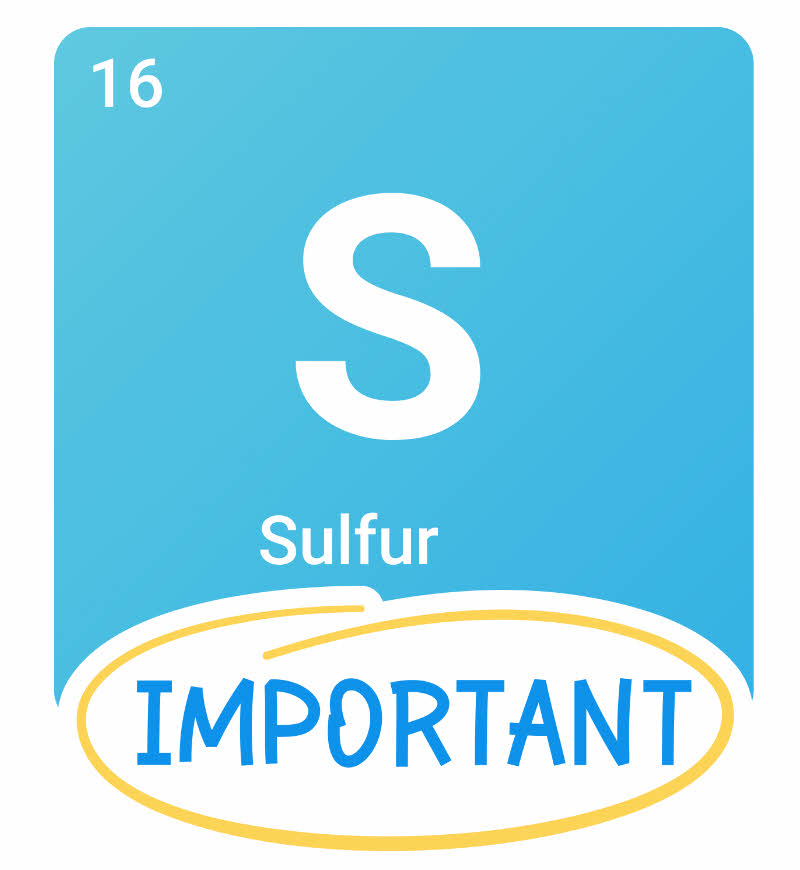 Organic Sulfur is Important