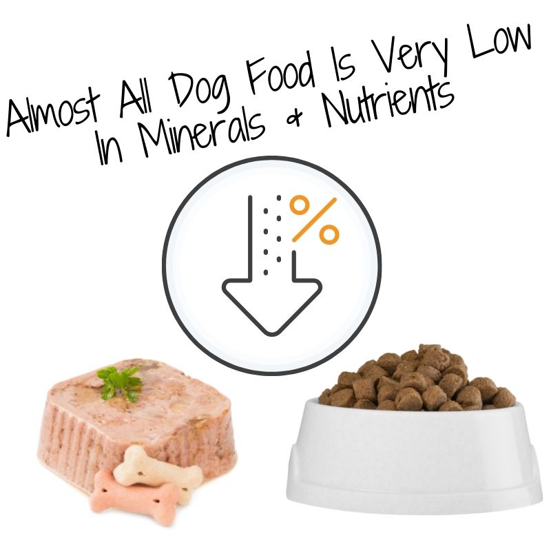Dog food contains very little sulfur and MSM