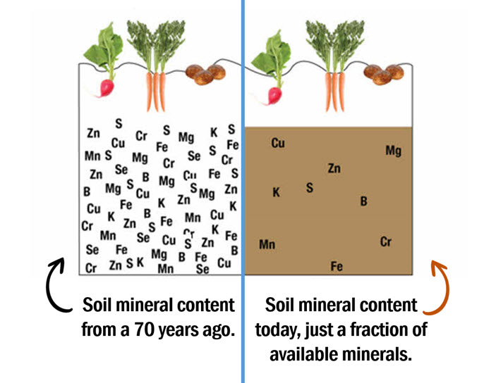 Soil contents