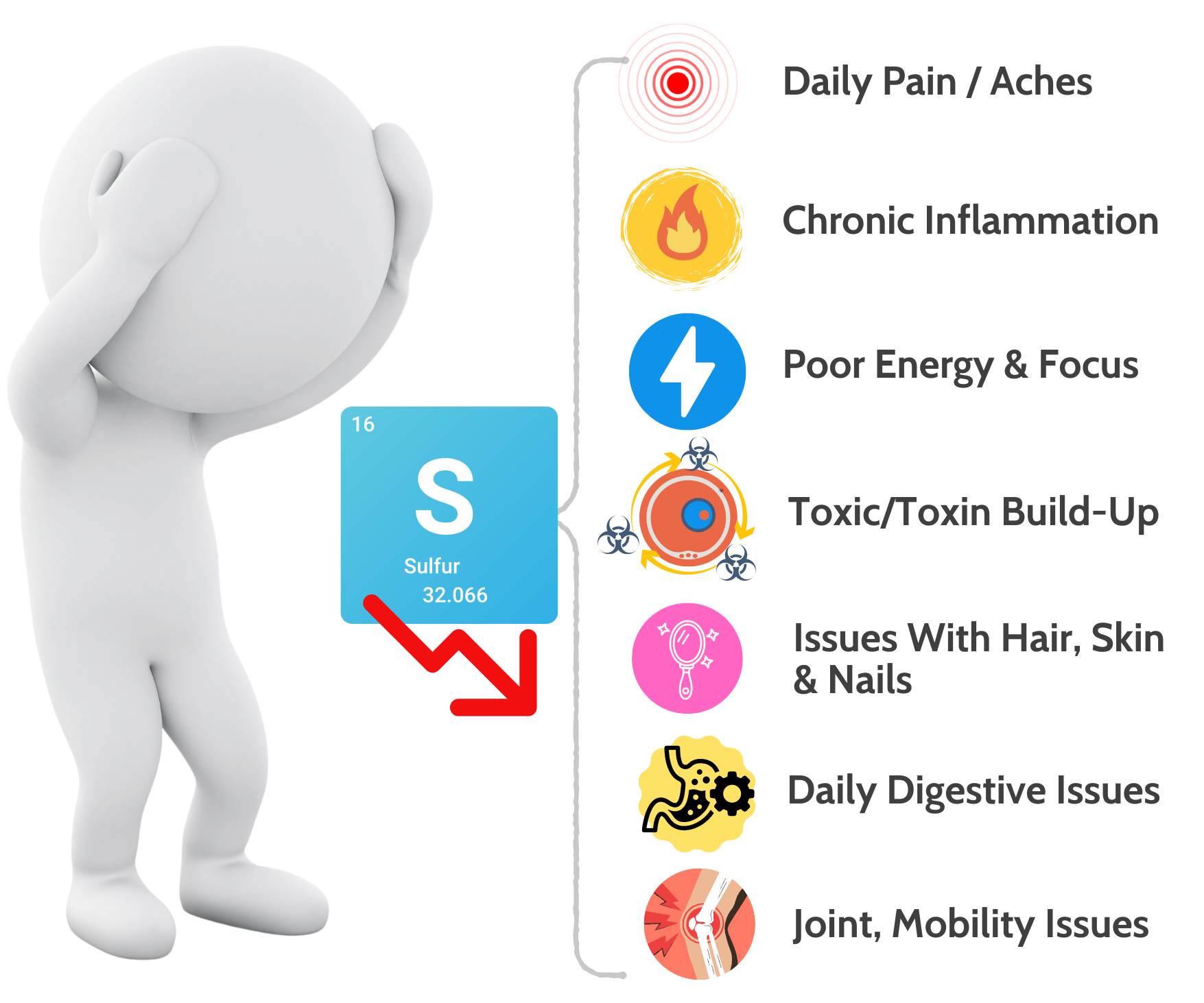 Sulfur Deficiency Impacts 