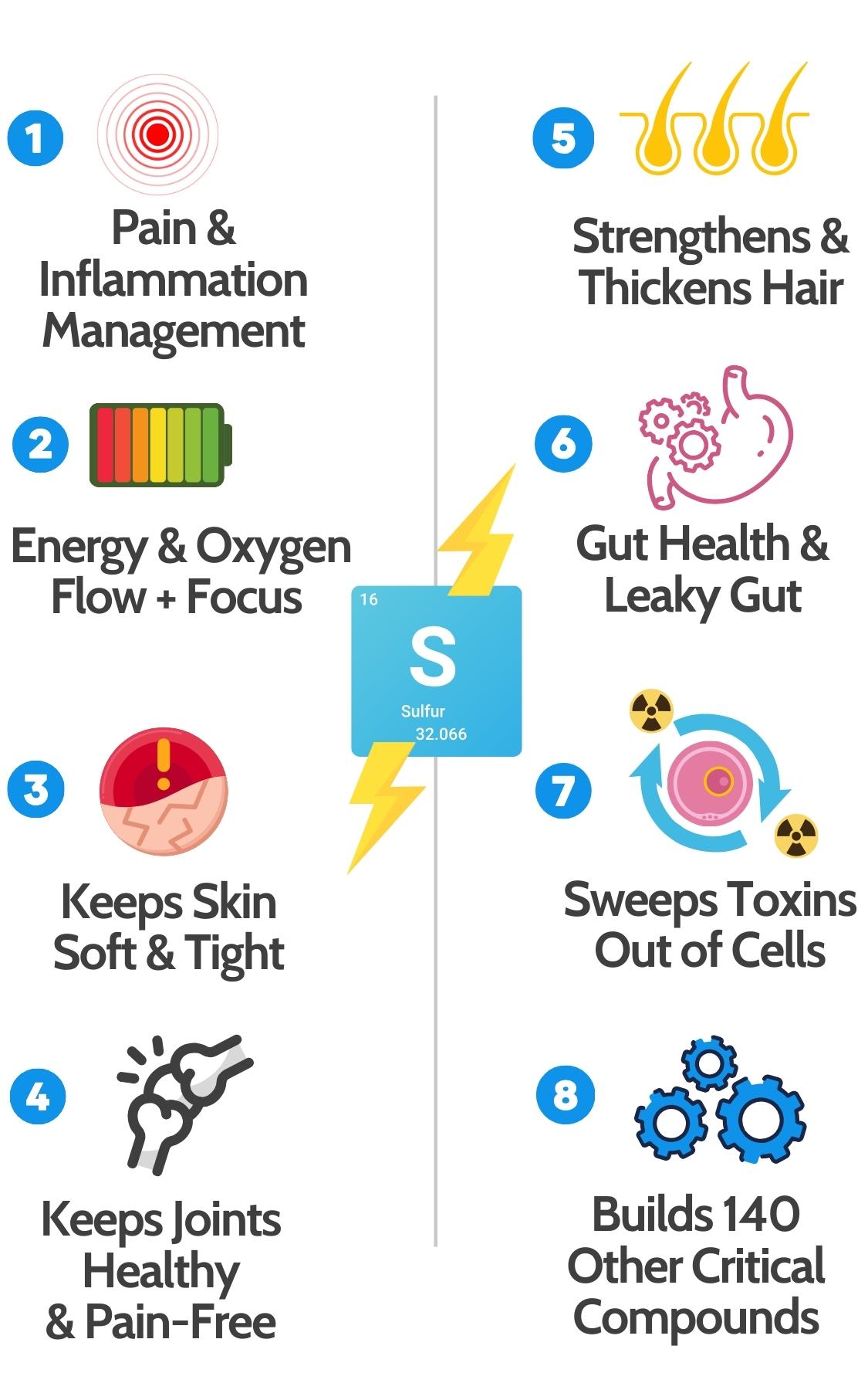 What Organic Sulfur Does In The Body